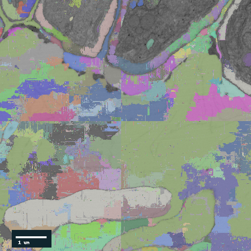 Aligned FFN instance segmentation overlaid on the same electron microscopy slice